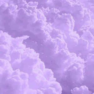 Meet your Posher, Mirea